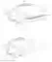 Fig. 01 - Audio jack and electronic device including same