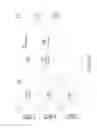 Fig. 08 - Reference picture set mapping for standard scalable video coding