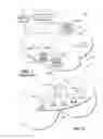 Fig. 02 - Wireless communication method and apparatus for performing home node-B identification and access restriction