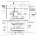 Fig. 01 - Classified relation networking optimization platform in open wireless architecture (OWA) mobile cloud terminal device