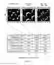 Fig. 06 - Radio cells