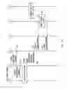 Fig. 07 - Mobile communication system, control apparatus, communication control method, and non-transitory computer readable medium