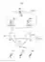 Fig. 02 - Mobile communication system, user terminal, and communication control method
