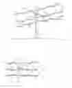 Fig. 02 - Method for training grapevine plants