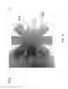 Fig. 19 - HELMET PADDING SYSTEM