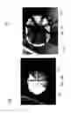 Fig. 24 - HELMET PADDING SYSTEM