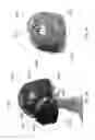 Fig. 34 - HELMET PADDING SYSTEM