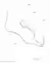Fig. 09 - Water Shoe