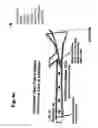 Fig. 07 - Method for dynamic regulations (counter pulsation) of the venous return to the heart for the treatment of patients with heart failure