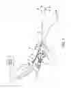 Fig. 02 - Endoscopic cap electrode and method for using the same