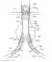 Fig. 01 - ENDOVASCULAR DELIVERY SYSTEM WITH FLEXIBLE AND TORQUEABLE HYPOTUBE