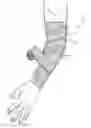 Fig. 01 - Limb Immobilization Wrap