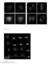 Fig. 02 - Biodegradable Microcapsules Containing Filling Material