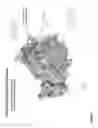 Fig. 02 - Compounds for Treating Rac-GTPase Mediated Disorder