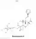 Fig. 02 - THERAPEUTIC METHODS AND COMPOSITIONS FOR TREATING DIABETES UTILIZING DITERPENOID COMPOUNDS