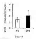 Fig. 02 - AGENT FOR ACTIVATING SIRTUIN GENE CONTAINING EGG SHELL MEMBRANE INGREDIENT AND COMPOSITION USING THE SAME