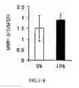 Fig. 06 - AGENT FOR ACTIVATING SIRTUIN GENE CONTAINING EGG SHELL MEMBRANE INGREDIENT AND COMPOSITION USING THE SAME