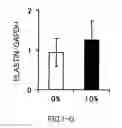 Fig. 08 - AGENT FOR ACTIVATING SIRTUIN GENE CONTAINING EGG SHELL MEMBRANE INGREDIENT AND COMPOSITION USING THE SAME