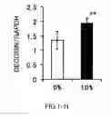 Fig. 09 - AGENT FOR ACTIVATING SIRTUIN GENE CONTAINING EGG SHELL MEMBRANE INGREDIENT AND COMPOSITION USING THE SAME