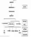 Fig. 02 - Composition comprising centipede grass extracts or fractions thereof as active ingredients