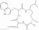 Fig. 08 - Modulation of hepatitis B virus CCCDNA transcription