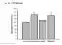 Fig. 12 - THERAPEUTIC METHODS AND COMPOSITIONS FOR TREATING DIABETES