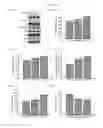 Fig. 13 - THERAPEUTIC METHODS AND COMPOSITIONS FOR TREATING DIABETES