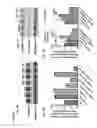 Fig. 06 - Methods of treating hemoglobinopathies