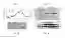 Fig. 03 - High-yield transgenic mammalian expression system for generating virus-like particles