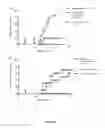 Fig. 02 - IGM THERAPY IN PREVENTION OF ONSET, PROGRESSION, AND RECURRENCE OF AUTOIMMUNE TYPE 1 DIABETES
