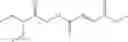 Fig. 02 - Pharmaceutical compositions of fumaric acid esters