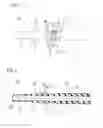 Fig. 05 - Catheter assembly