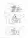 Fig. 09 - Skateboard truck with dynamic action angle