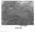 Fig. 31 - Processing biomass