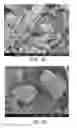 Fig. 34 - Processing biomass