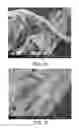 Fig. 35 - Processing biomass