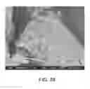Fig. 36 - Processing biomass