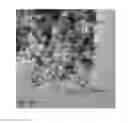 Fig. 01 - Integrated LNT-TWC catalyst