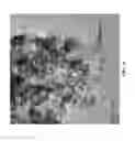 Fig. 06 - Integrated LNT-TWC catalyst