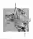 Fig. 07 - Integrated LNT-TWC catalyst