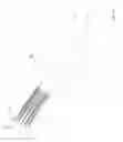 Fig. 02 - Pipette tips