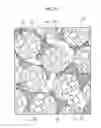 Fig. 06 - APPARATUS FOR PRODUCING THREE-DIMENSIONAL STRUCTURE, METHOD OF PRODUCING THREE-DIMENSIONAL STRUCTURE, AND THREE-DIMENSIONAL STRUCTURE