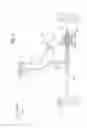 Fig. 02 - STEERING DEVICE