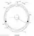 Fig. 07 - Rollover prevention apparatus