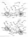 Fig. 02 - Folding scooter