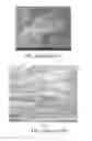 Fig. 04 - Production process for highly conductive graphitic films