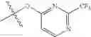 Fig. 511 - RORγ modulators