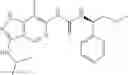 Fig. 564 - Compounds that are ERK inhibitors