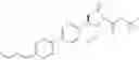 Fig. 197 - Phenicol antibacterials
