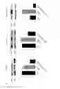 Fig. 09 - Peptide directed protein knockdown